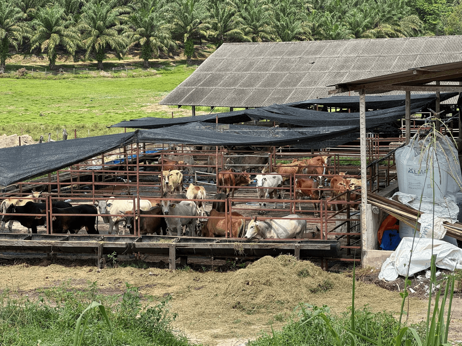 Livestock Manure Management