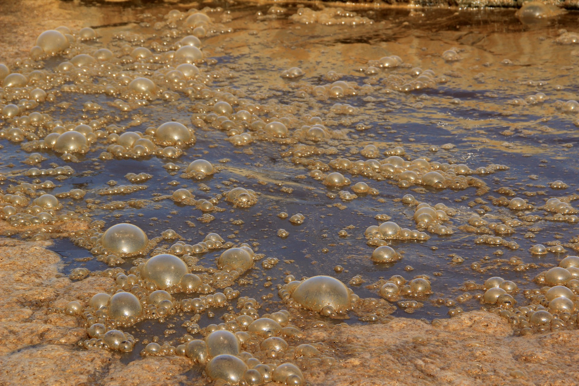 Sewage water treatment